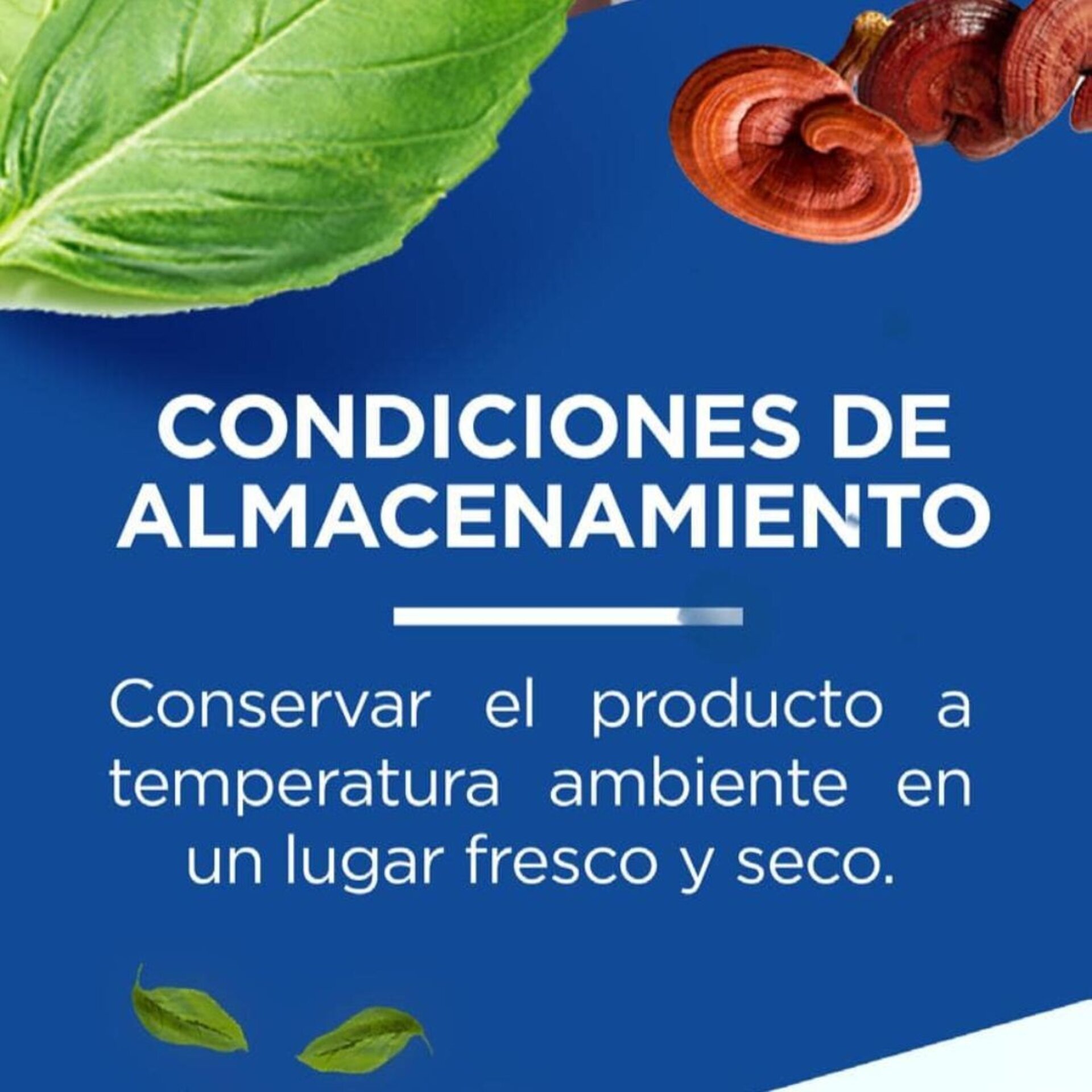 Berry Gano Coffee - 6