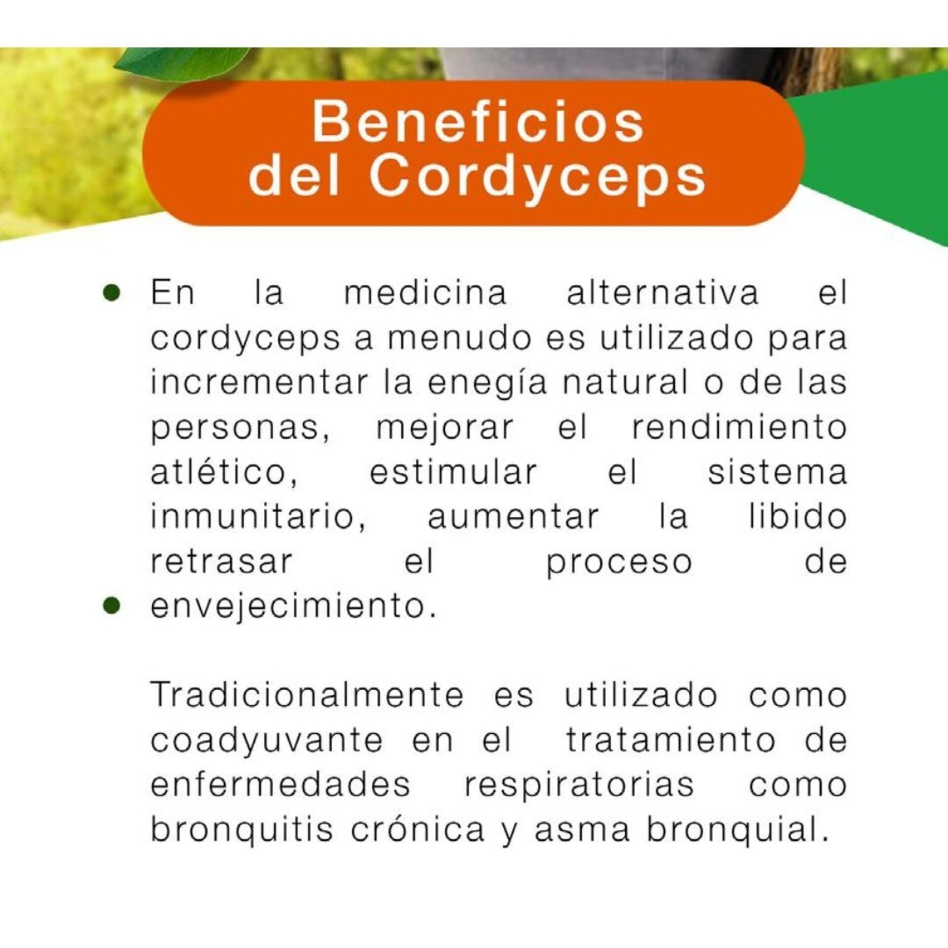 Cordyceps Coffee - 8