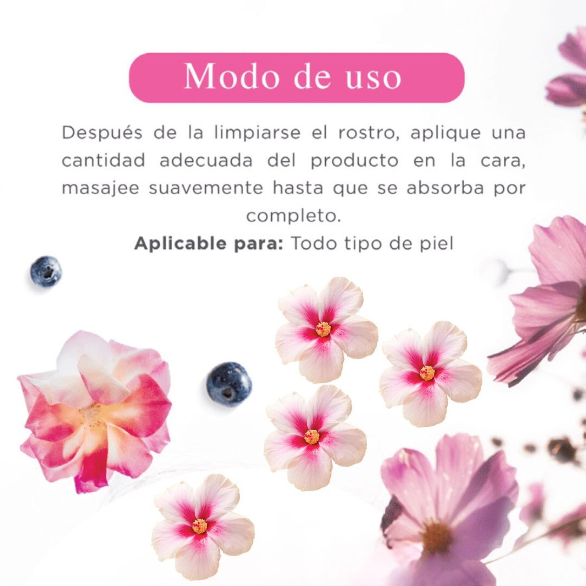 Blueberry Lotion – Loción Humectante Facial de Arándanos (100 ml) - 6