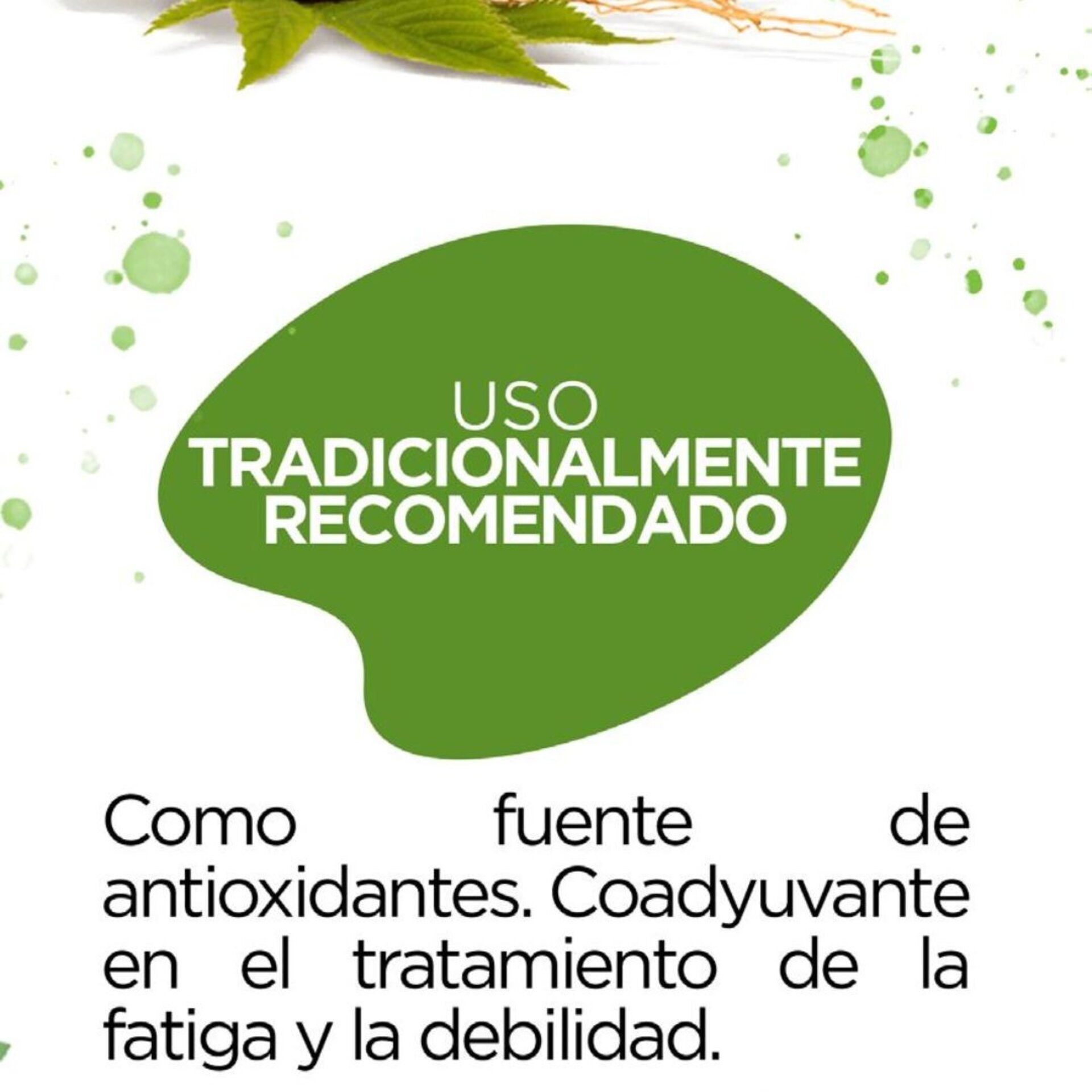 Spirulina Plus – HGW - 9
