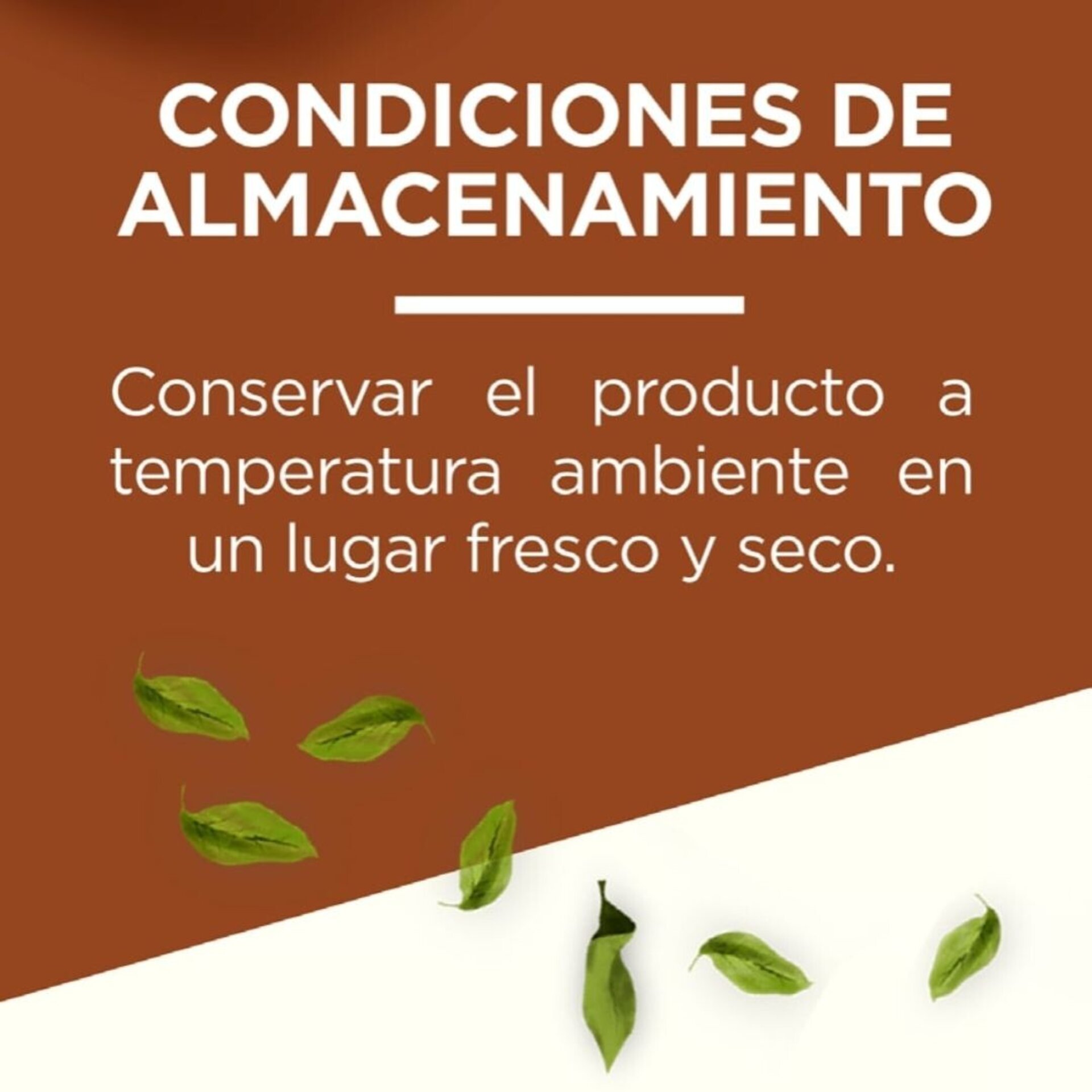 Coffee Ceps - 7