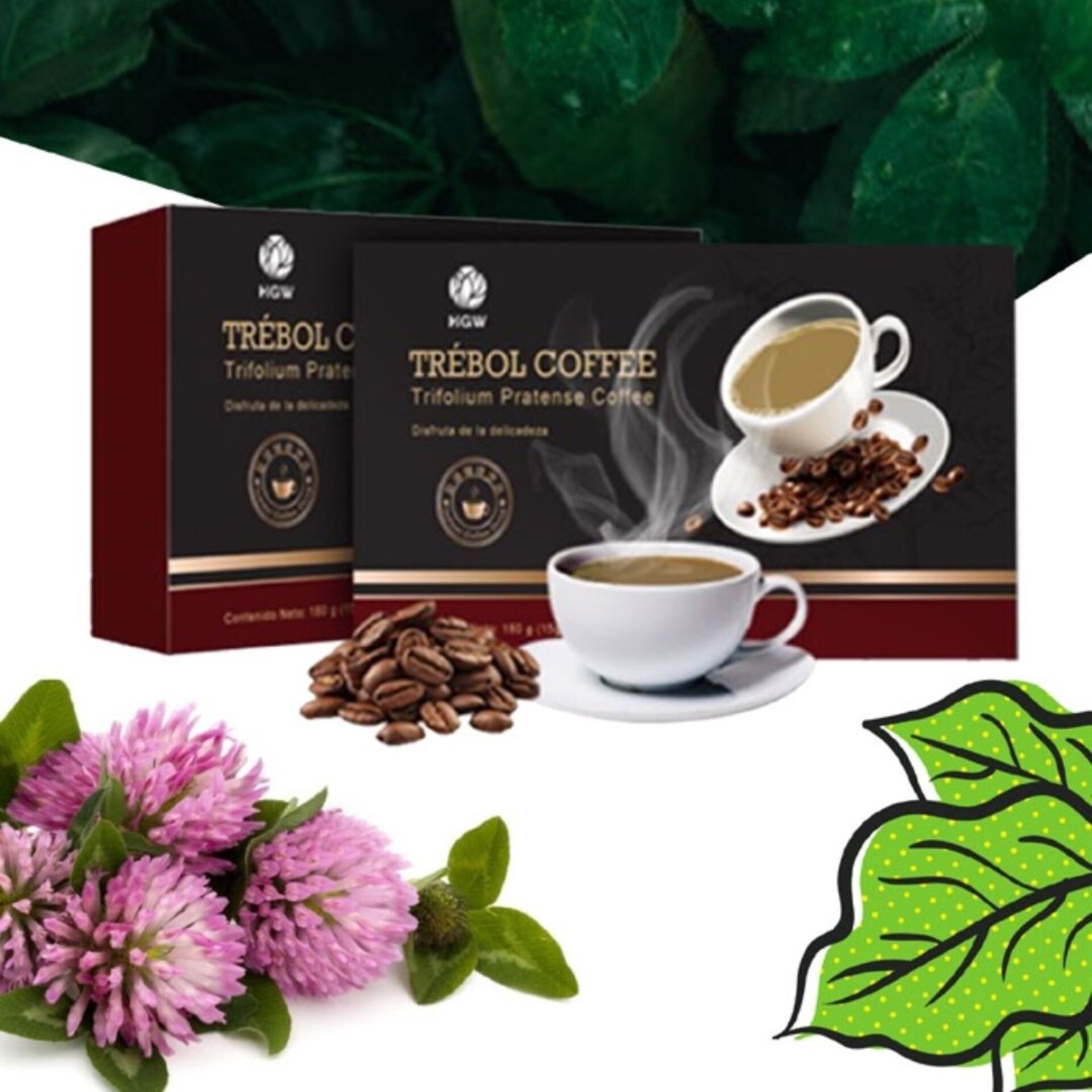 Trebol Coffee - 7