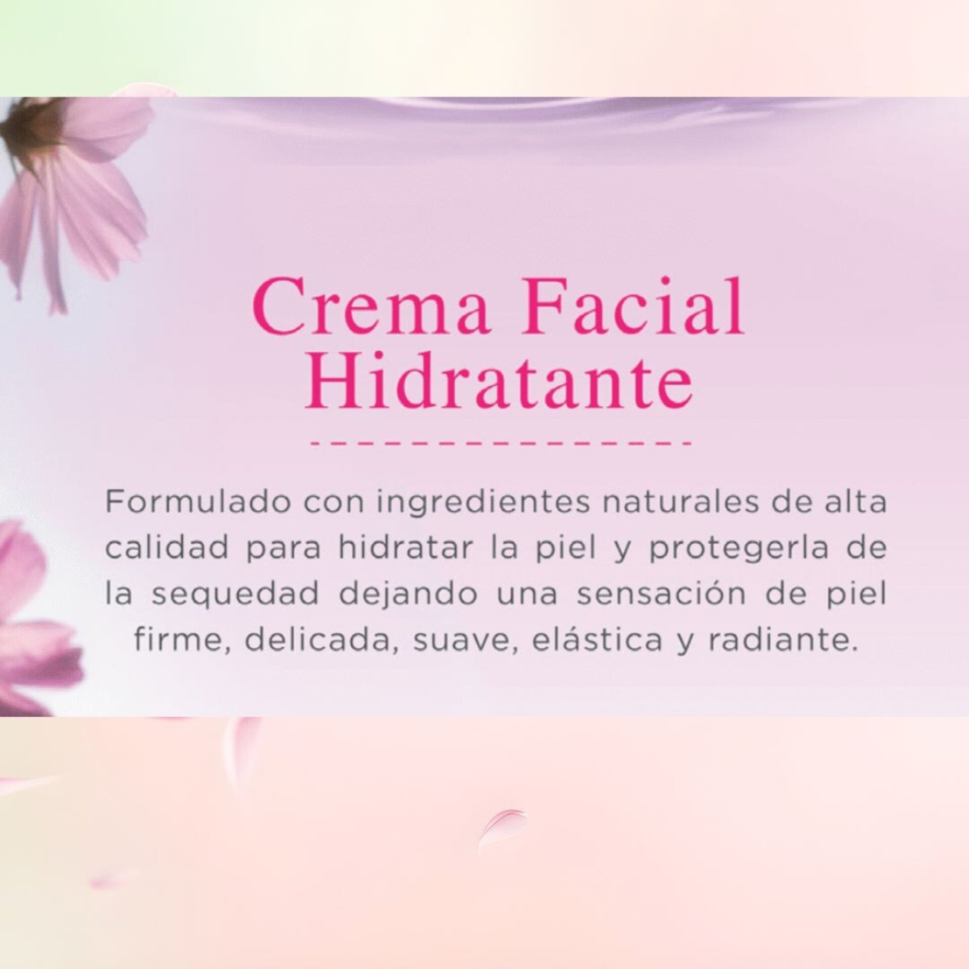 Blueberry moisturizer – Crema hidratante facial con arándanos - 6