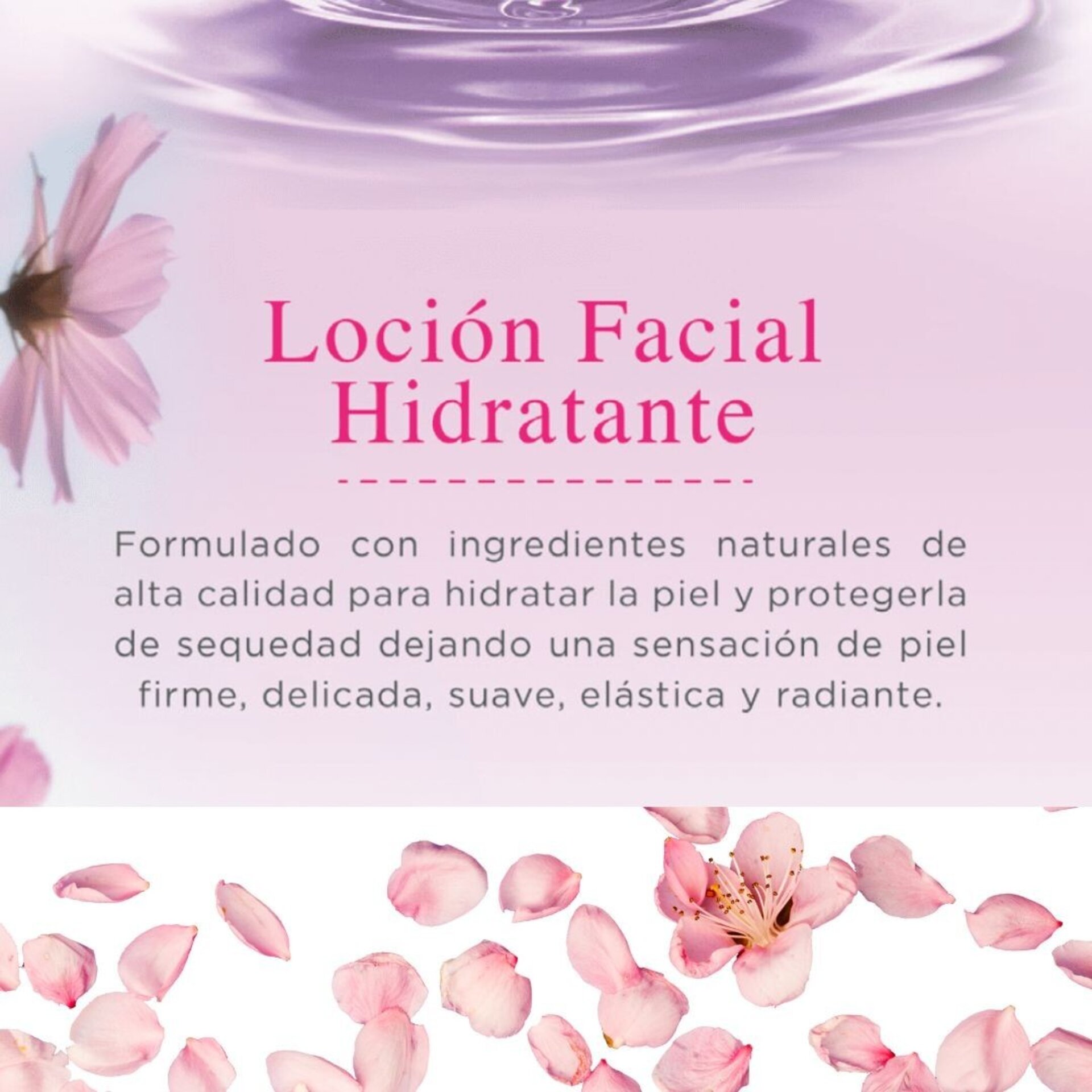 Blueberry Lotion – Loción Humectante Facial de Arándanos (100 ml) - 4