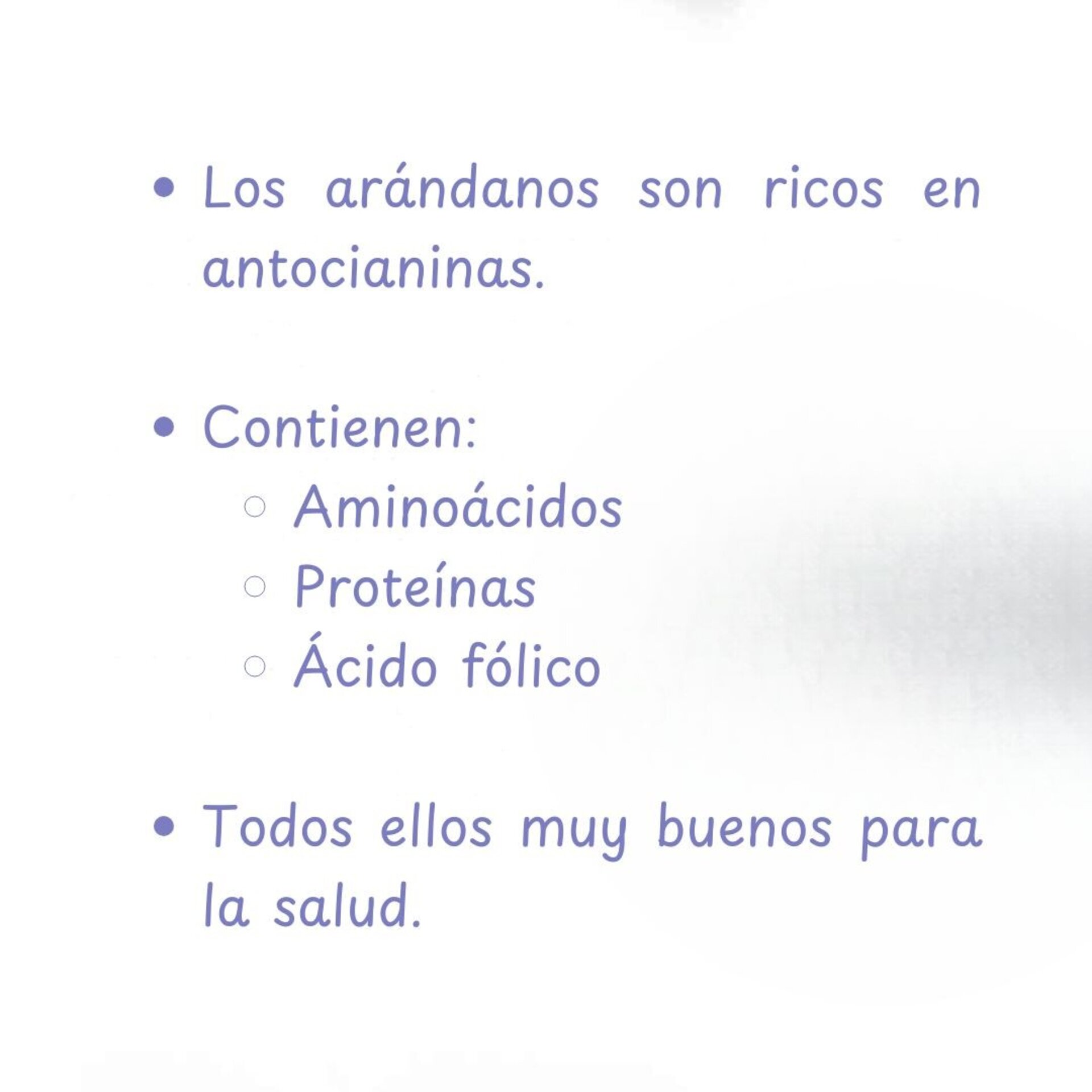 Mermelada de arándanos – HGW - 7