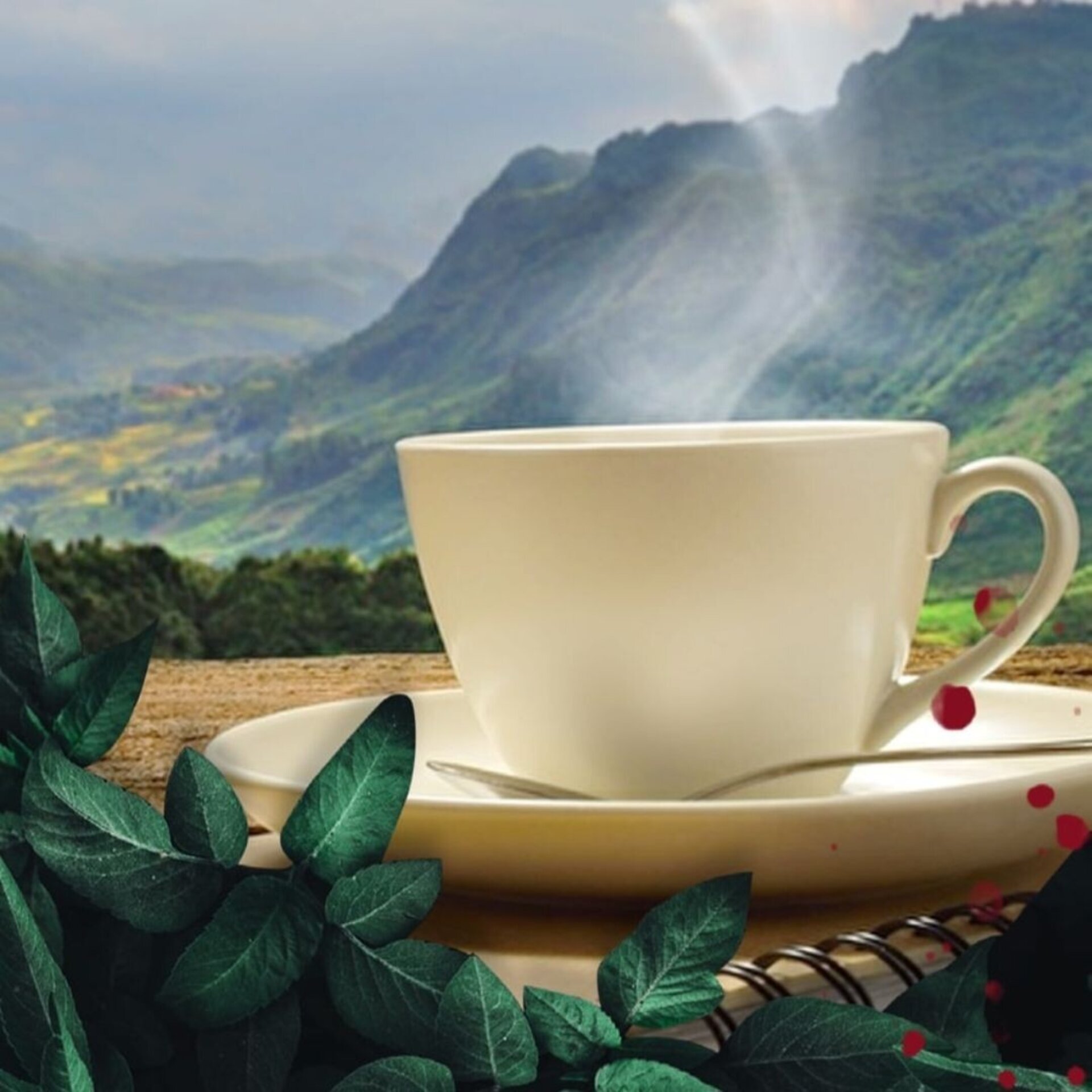 Black Tea Coffee - 11