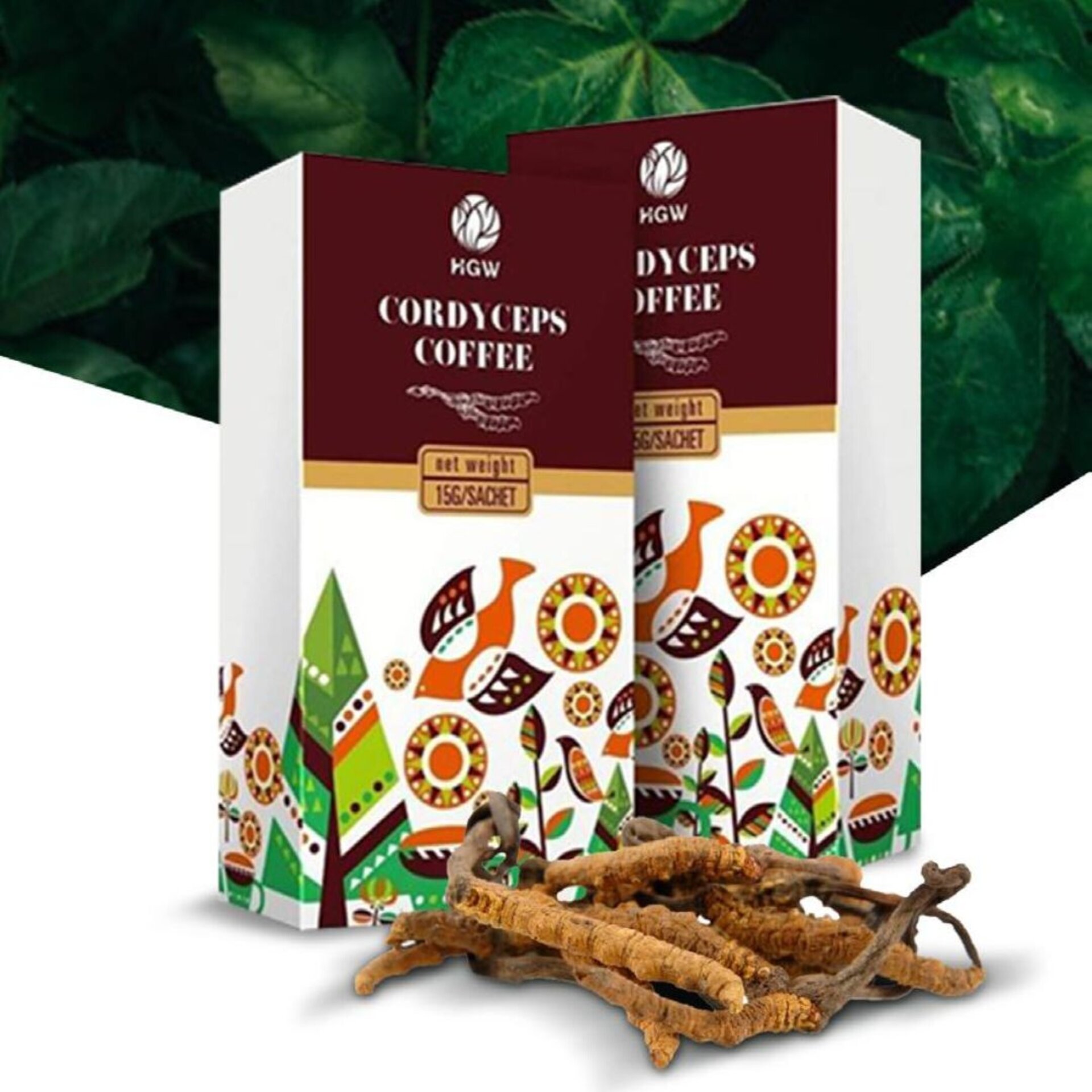 Cordyceps Coffee - 1